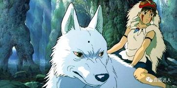 幽灵公主在线观看,幽灵公主在线观看之旅